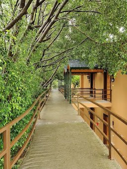 Tarangi Resort - Exterior View & Grounds - Gola Holidays